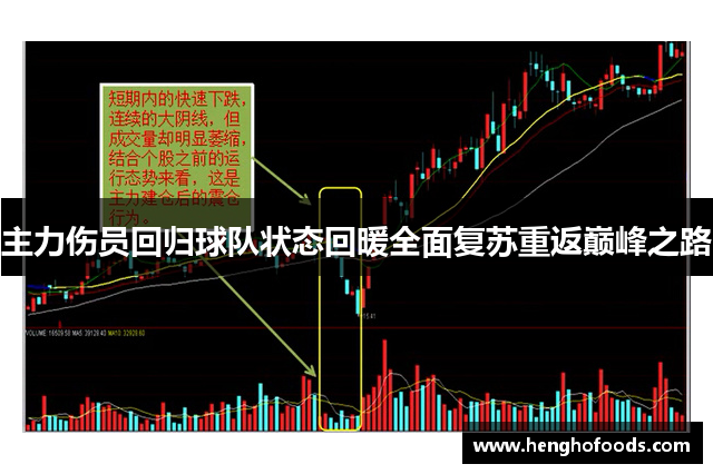 主力伤员回归球队状态回暖全面复苏重返巅峰之路